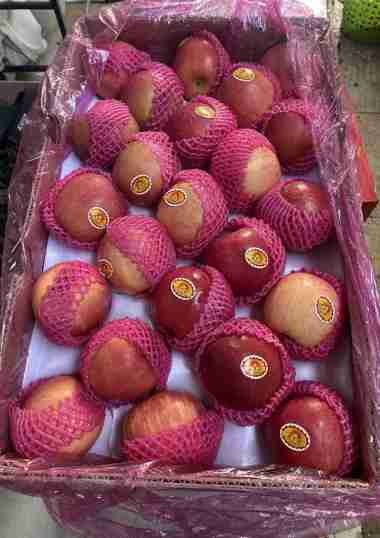 Apel Fuji fresh Import 1 dus isi 100/113