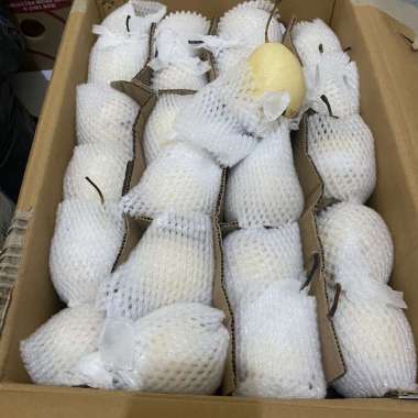 Buah pear yalie 1 dus berat 17kg isi buah 96-/+