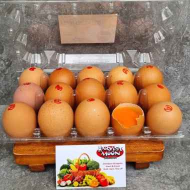 HarvestMoon Telur Ayam Negri 15 Butir Telur Retak Negri Omega