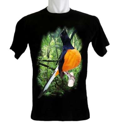 Kaoskaoscorp Baju Kaos Distro Burung Murai Batu Borneo XXXL