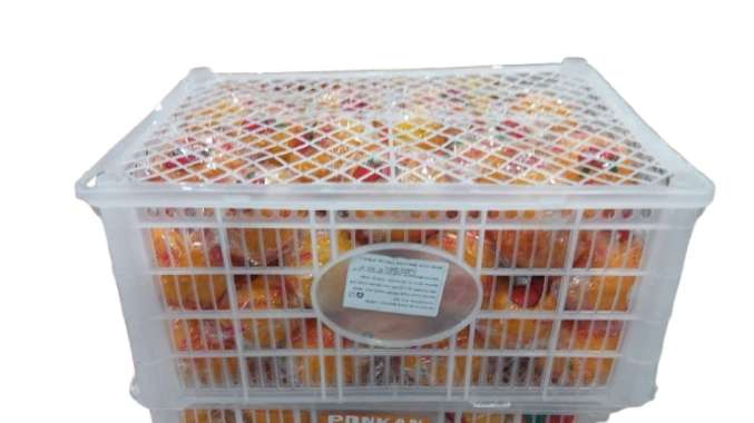 JERUK PONKAM ( BOX; 9 KG)