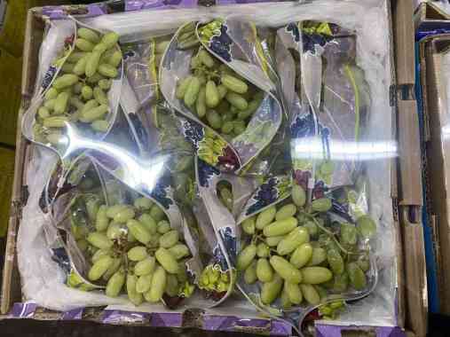Buah anggur hijau seedless fresh Import 1 box