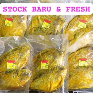 Ikan Gurame 2 Ekor Super Pilihan Marinasi Bumbu Praktis Tinggal Goreng Bakar Pepes Sop Gulai dll Ole