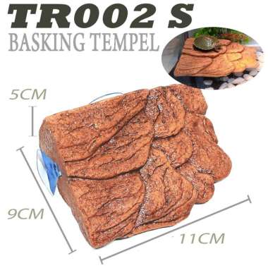 TR001 BASKING SPOT RAMP TURTLE BANK TANGKRINGAN KURA-KURA AIR BRAZIL RES CST AST KADAL BEARDED DRAGO
