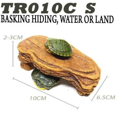 TR001 BASKING SPOT RAMP TURTLE BANK TANGKRINGAN KURA-KURA AIR BRAZIL RES CST AST KADAL BEARDED DRAGO
