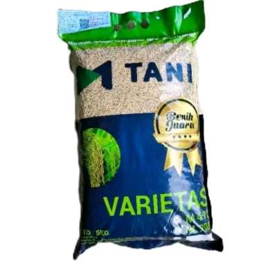 BENIH PADI M70D SOLUSI MUSIM TANAM KEDUA NETTO 5 KG