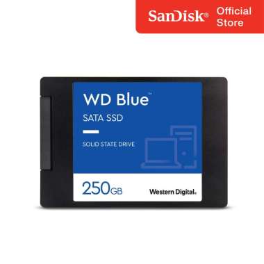 WD SSD Blue SA510 250GB 500GB 1TB 2TB 4TB - SSD Internal SATA 2.5 inch 1TB