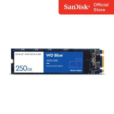 WD SSD Blue SA510 250GB 500GB 1TB 2TB SSD SATA III M.2 2280 1TB