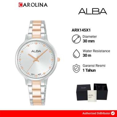 Jam Tangan Wanita Alba Fashion ARX145X1 Silver Dial Silver Dual Tone