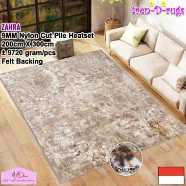 Tren-D-rugs karpet bioskop eropa aesthetic jumbo besar permadani 200 cm x 300 cm tebal 9mm motif abs