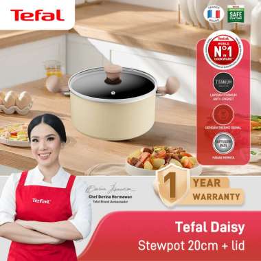 Tefal Wajan Panci Penggorengan Anti Lengket / Daisy Series Stewpot 20cm + lid
