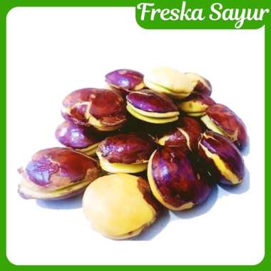 Jengkol Tua 1 Kg