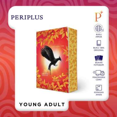 Catching Fire Deluxe by Suzanne Collins Paperback - UK - 9780702342394