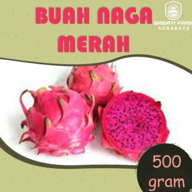 Buah Naga Merah Putih 500 gr / 1 kg Buah Naga Merah 500 gram