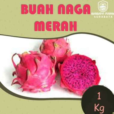 Buah Naga Merah Putih 500 gr / 1 kg Buah Naga Merah 1 Kg