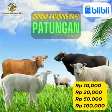 Domba Kambing Sapi Patungan - Qurban Bermanfaat / Sedekah Kurban
