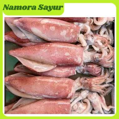 Cumi Basah Besar 1 Kg
