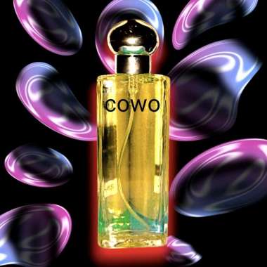 parfum pria ninggalin jejak ukuran botol 33 mili dior sauvage