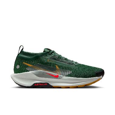 NIKE Men Running Pegasus Trail 5 Gore-Tex Waterproof Trail Shoes Sepatu Lari Pria [FQ0908-301] 10 Fi