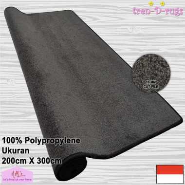 Karpet jumbo modern motif halus tebal alas lantai permadani ruang tamu tidur 200 cm x 300 cm - NMs A