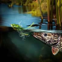 TaffSPORT Umpan Pancing Kodok Silikon Double Hook - Meningkatkan Strike Predator, Gaya Berenang Alami IH