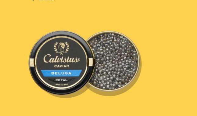 Caviar BELUGA sturgeon royal calvisius - Telur ikan 25 gram