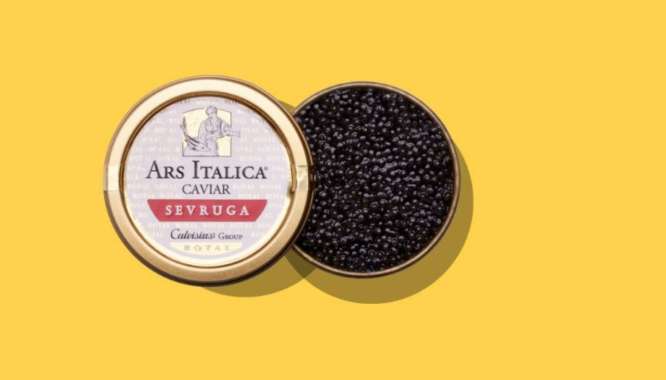 Caviar SEVRUGA starry sturgeon Ars italica calvisius 25 gr