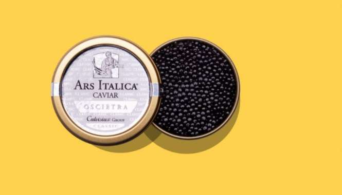 Caviar oscietra russian sturgeon - telur ikan Ars italica calvisius 25 gr
