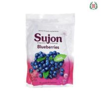 SUJON FROZEN BLUEBERRIES 500 GR PACK