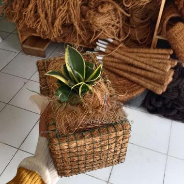 pot kotak panjang sabut kelapa strimin ram besi pot anggrek pot cactus duduk tempel dinding