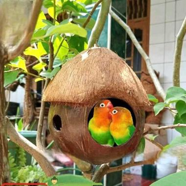 GLODOK BATOK KELAPA SARANG BURUNG LOVEBIRD SUGAR GLIDER TUPAI