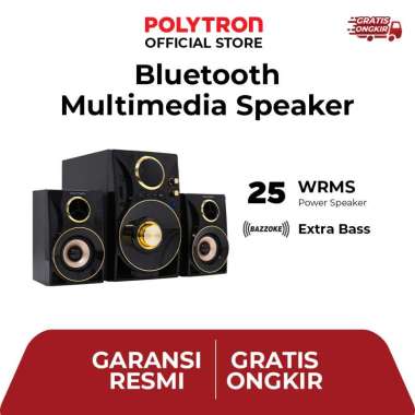 POLYTRON Multimedia Speaker PMA 9310 /BG