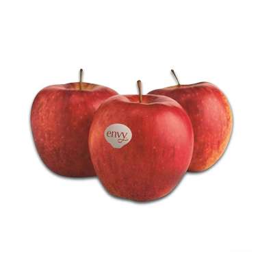 APEL ENVY NZ JUMBO