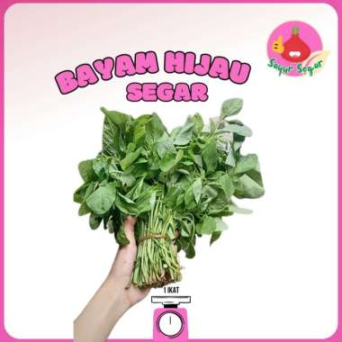 BAYAM/SAYUR BAYAM