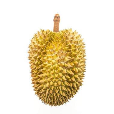DURIAN MONTHONG UTUH