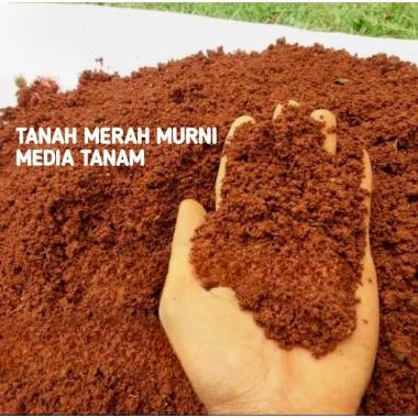tanah merah murni media tanam tanaman hias dan bunga kemasan 1kg