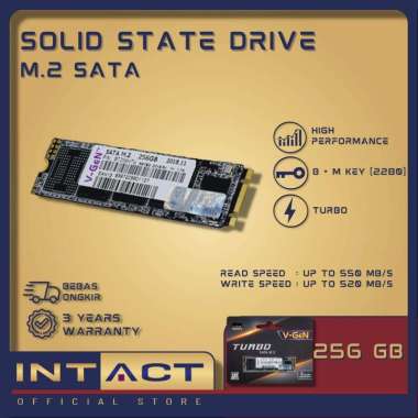 Solid State Drive V-GeN 256GB SATA M.2 SSD VGEN M2 SATA SSD