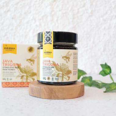 300G JAVA TRIGONA Honey Madu Trigona Jawa – BeeMa Honey