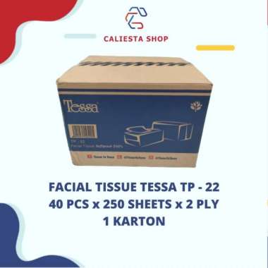 Tessa Natural Soft Facial Tissue 250 Sheets - 2 Ply [40 Pcs/ 1 Karton]