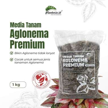 Media Tanam Aglonema Media Tanam 1 Kg Siap Pakai