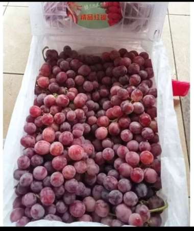 buah anggur merah fresh import RRC 1 krat