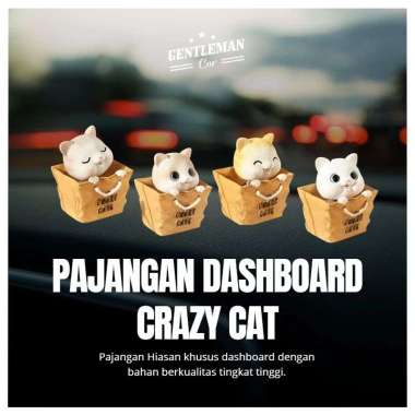 Pajangan Dashboard Crazy Cat Kucing Kepala Goyang Mobil Bobble Hiasan Type B