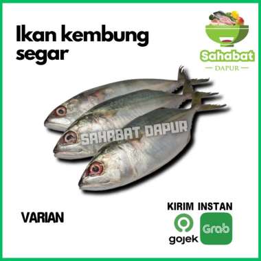 Ikan Kembung/Ikan Kembung Segar[0,5kg & 1kg] - Sahabatdapur 1kg