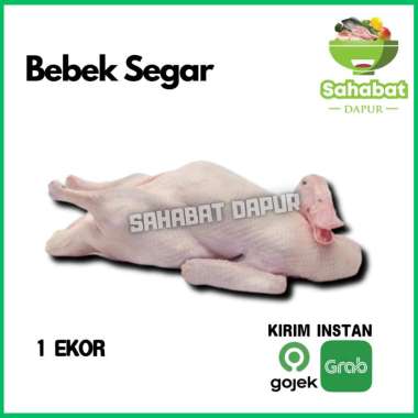 Bebek Segar 1ekor - Sahabatdapur