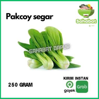 Pakcoy/Sayur Pakcoy/Sayur Segar 250gr - Sahabatdapur