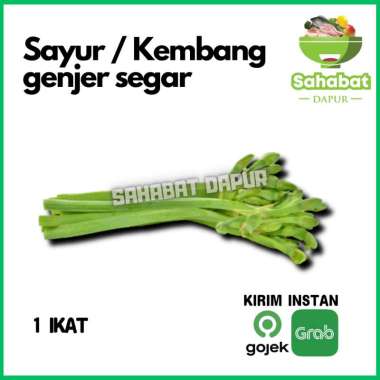 Sayur Genjer 1ikat - Sahabatdapur