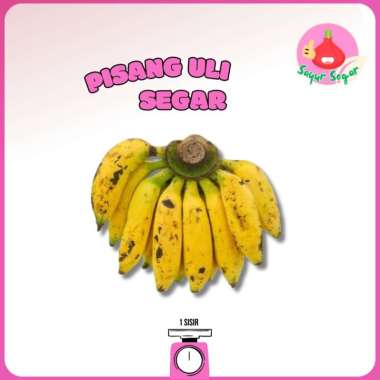 Pisang Uli 1sisir - Bawangbagus