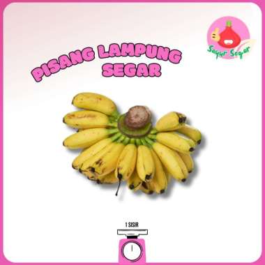 Buah Pisang/Pisang Lampung 1 sisir - Bawangbagus