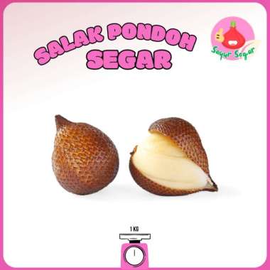Salak Pondoh/Buah Salak 1kg - Bawangbagus