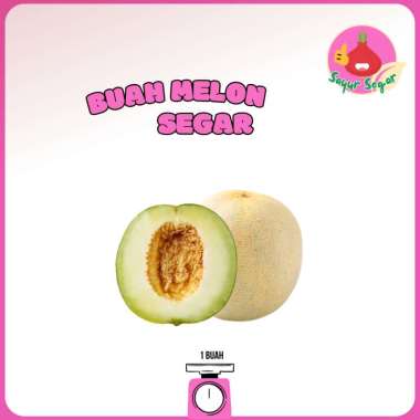 Buah Melon/Melon 1buah - Bawangbagus